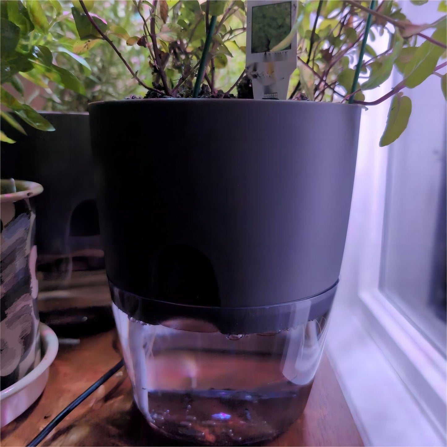 HAKZEON 6 Pack 6 Inch Plastic Self Watering Pots for Indoor Plants, Self Watering Flower Pots with Wick Ropes, Double-Layer Self Watering Planter Pots for Plants, Flowers, Herbs