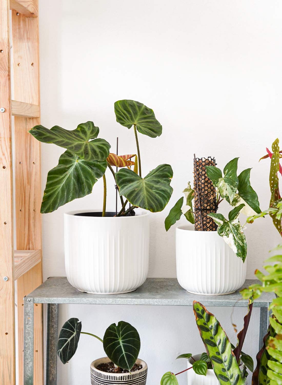 LE TAUCI Ceramic Planters, 8.3/7/6 Inch Indoor Pots for Plants with Drainage Holes & Mesh, Modern Matte Glaze Cylinder Fluted Plant Pot for Snake Plant, Set of 3, White