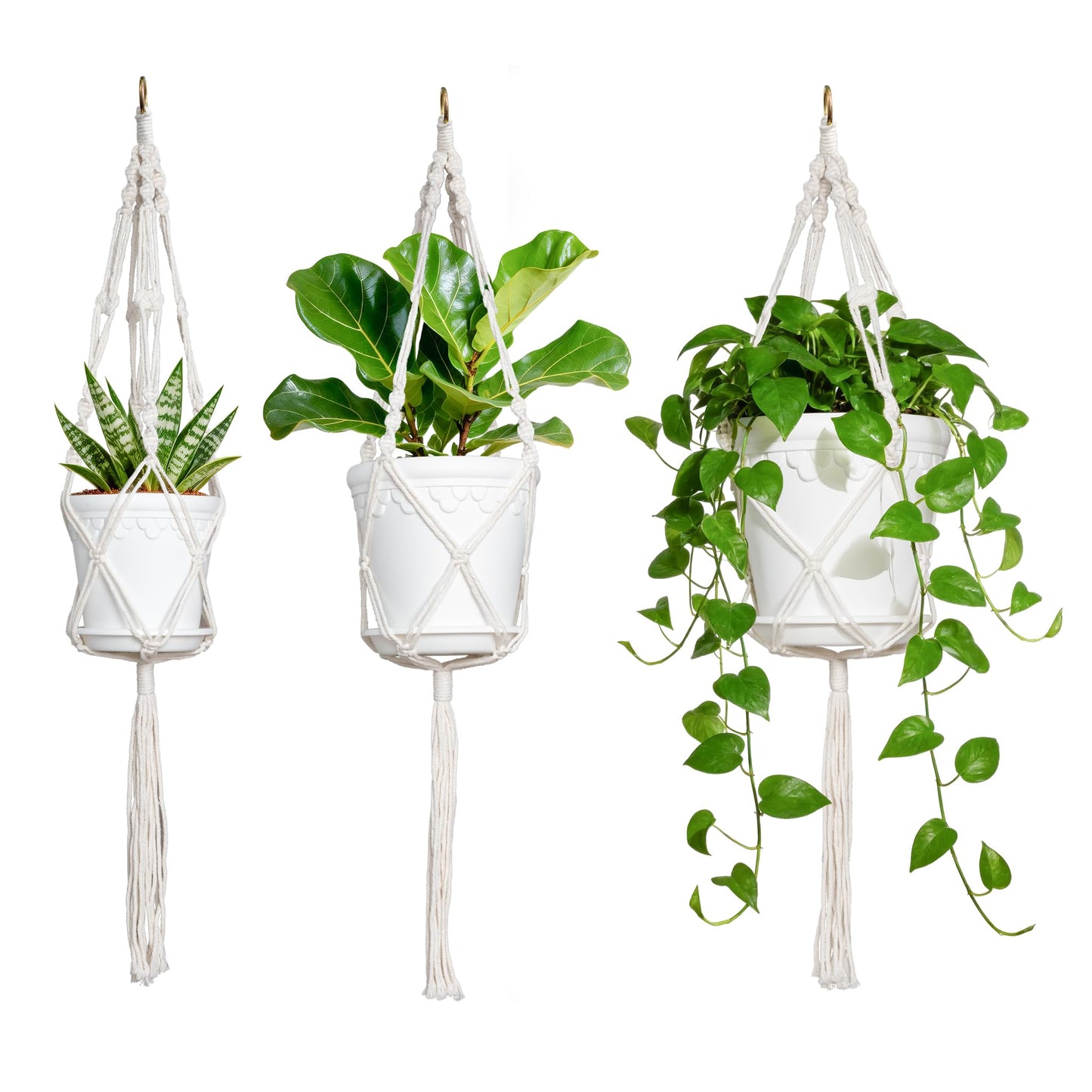 WECHARM HOME Hanging Planters with Macrame Plant Hangers, 3-Set Self Watering Pots, Hanging Flower Baskets for Indoor Outdoor Plants,3 Different Sizes