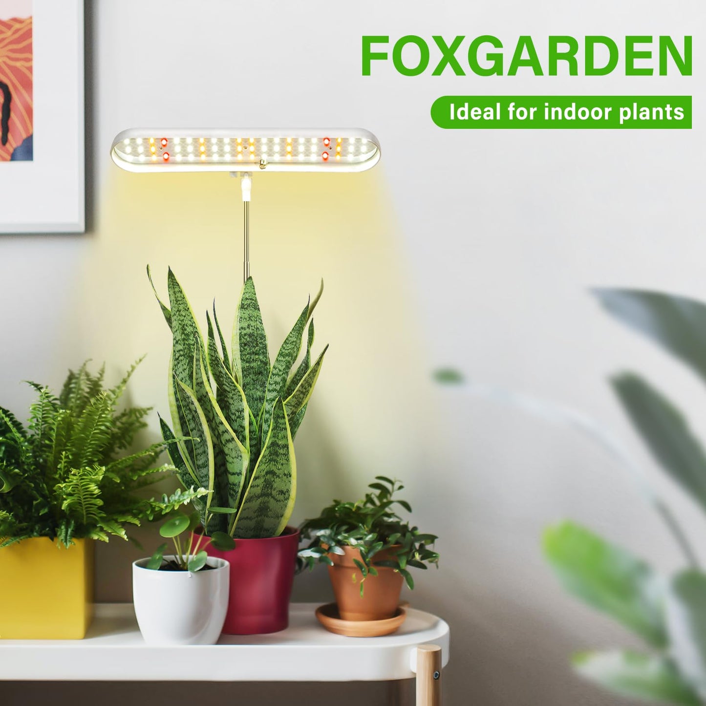 FOXGARDEN Grow Light, Full Spectrum LED Grow Lamp, Plant Lights for Indoor，Auto Timer 4/8/12H, 4 Dimmable, Height Adjustable 8.5"-24", Growing Lights 2 Pack