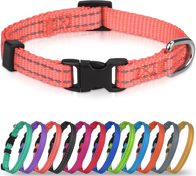 Joytale Feather-Light Dog Collar for Medium & Large Dogs, 1", Red