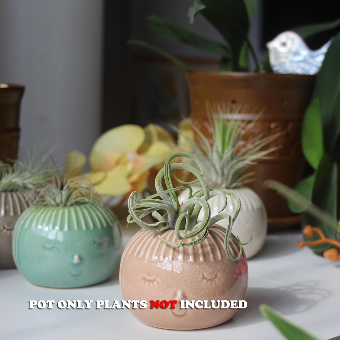SCSFCVIUS Air Plant Holder Ceramic Planter - 4PCS Porcelain Cute Air Plant Pot Planter Tillandsia Airplants Holders Home Decor (4 Cute Holders)