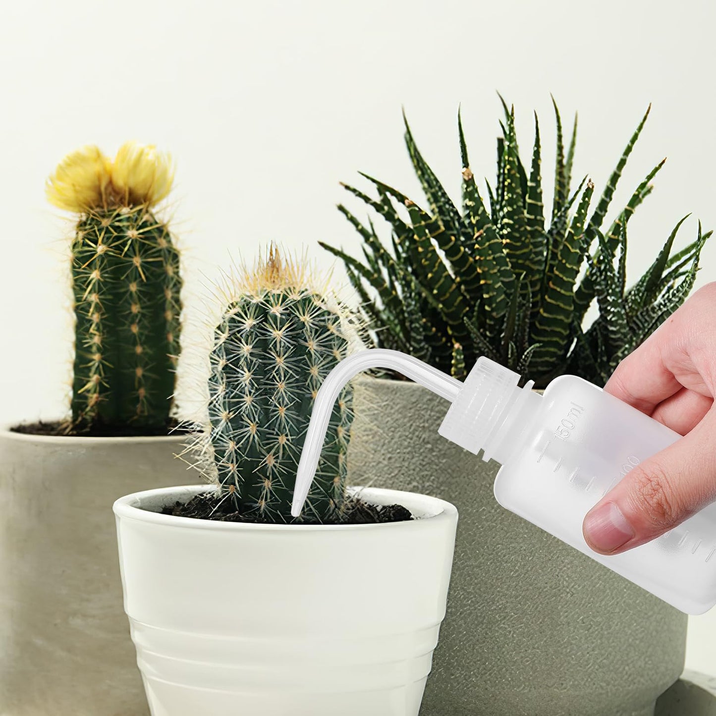 TOPPERFUN 6Pcs 150Ml Lab Wash Bottles Small Squeeze Bottles for Succulent Plant Watering Tattoo Supplies and Laboratory Use with Precise Nozzle