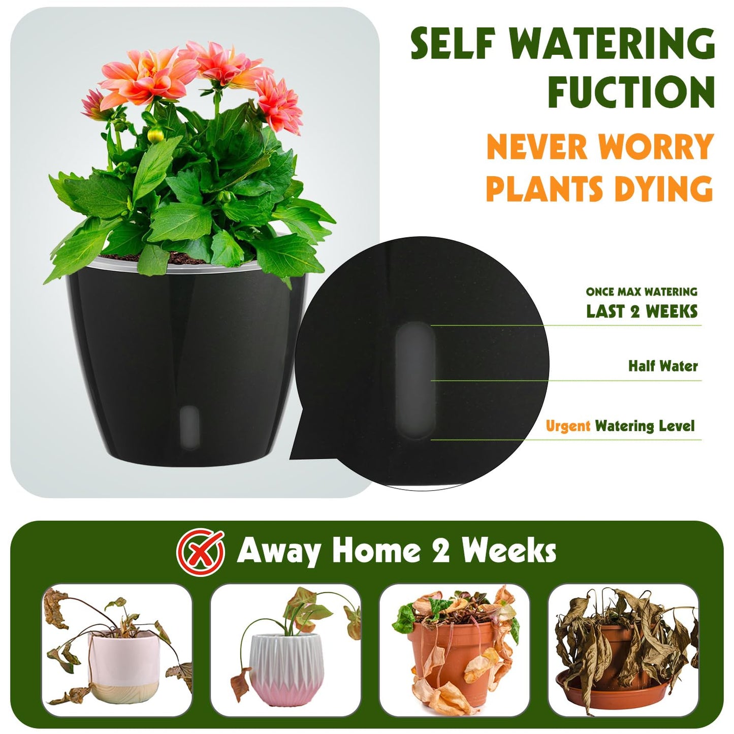 KvyusFlourish Self Watering Pots for Indoor Plants, 6-Pack 5'' Self Watering Planter with Drainage Holes, Small African Violet Pots with Water Indicator, Clear Wick Orchid Pot, Black