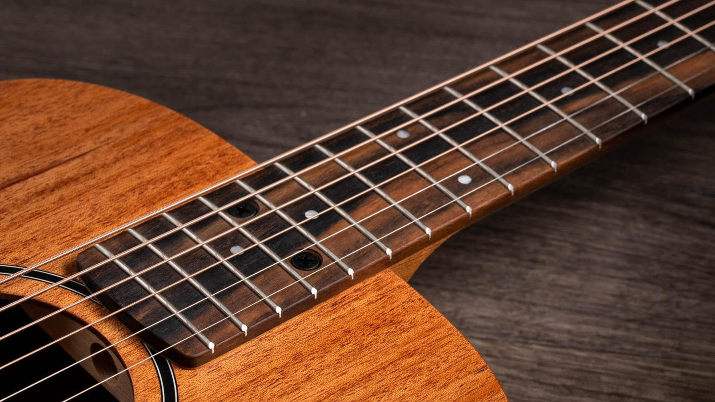 Taylor Baby BT-2 Mahogany
