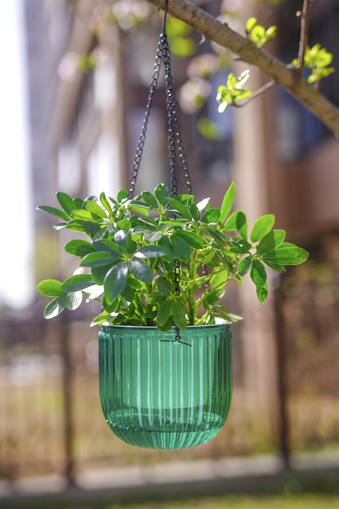 Melphoe Hanging Planters Outdoor and Indoor