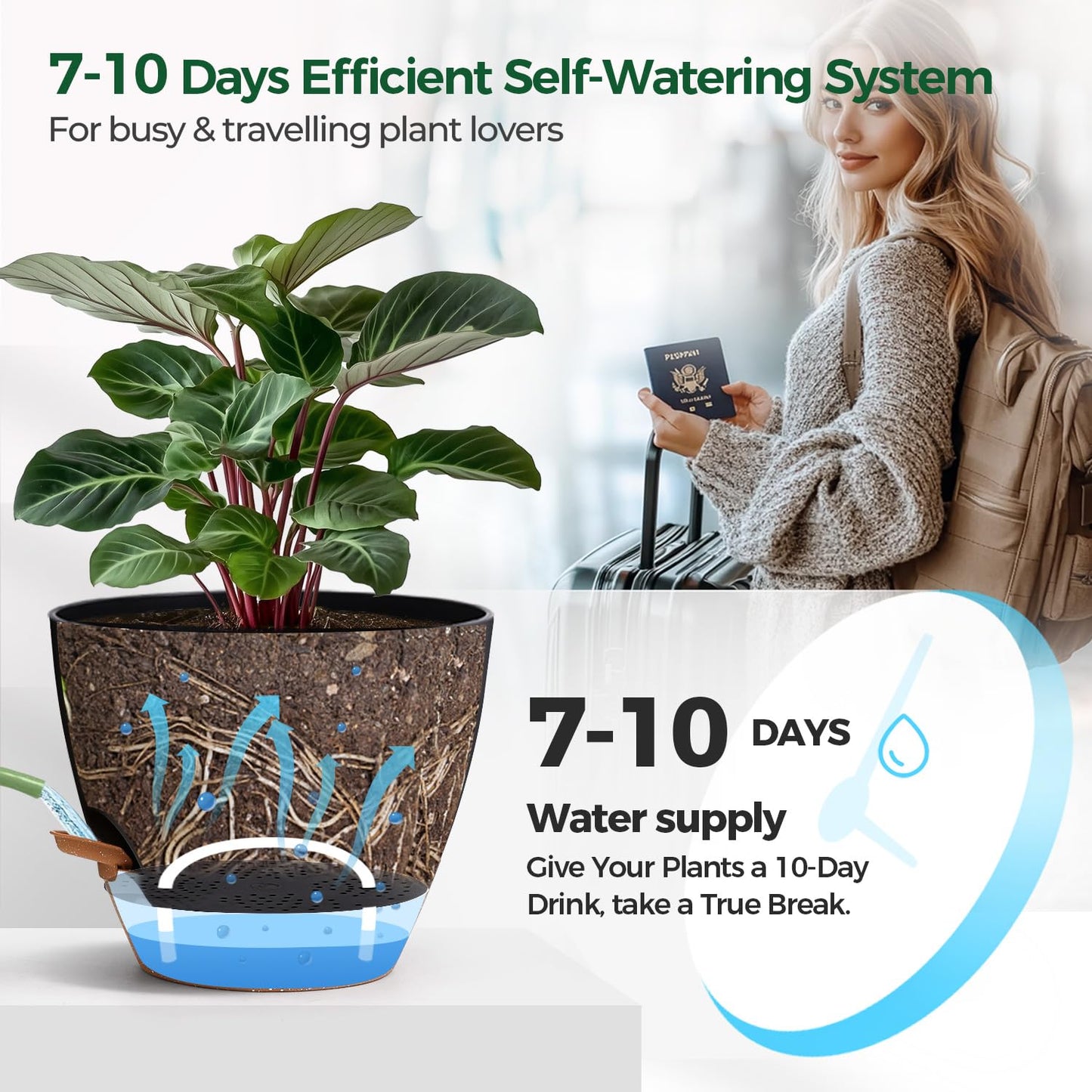 T4U 6 Inch Self Watering Pots for Indoor Plants - Mess-Free Bottom Watering Planter for Herbs/Pothos/Succulent Plants, Indoor Outdoor Use (Black, 4 Pack)