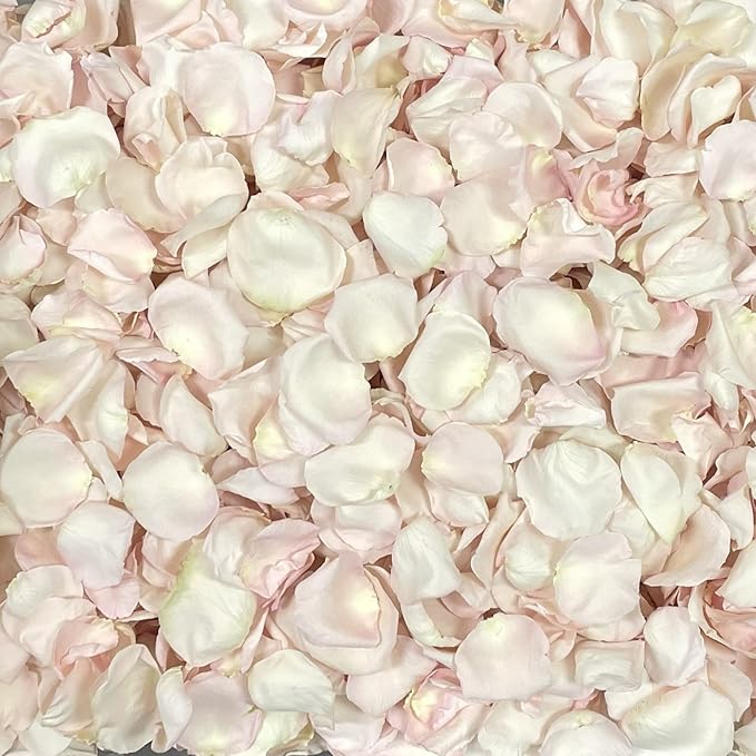 Rose Petals for Wedding Decoration, Bridal Toss, and Aisles, Freeze Dried, Use within 1 month (Bashful, 2 cup Sample)