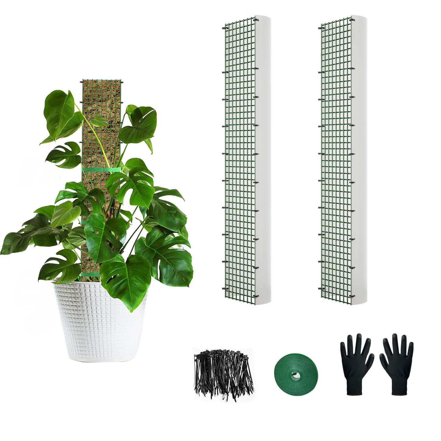 24" Metal Moss Pole, D Shape Sphagnum Moss Pole, Moss Poles for Climbing Plants, Monstera, Indoor Climbing Plants (2Pcs 24")