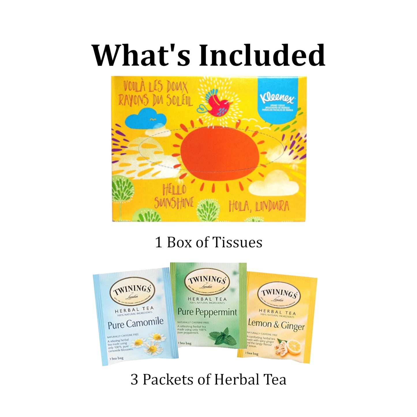 Get Well Care Package for Adults – 10-Piece Cold & Flu Gift Basket with Soup, Tea, Tissues & Sanitizer Wipes (Get Well Cheer: For Colds, Flu, Allergies)