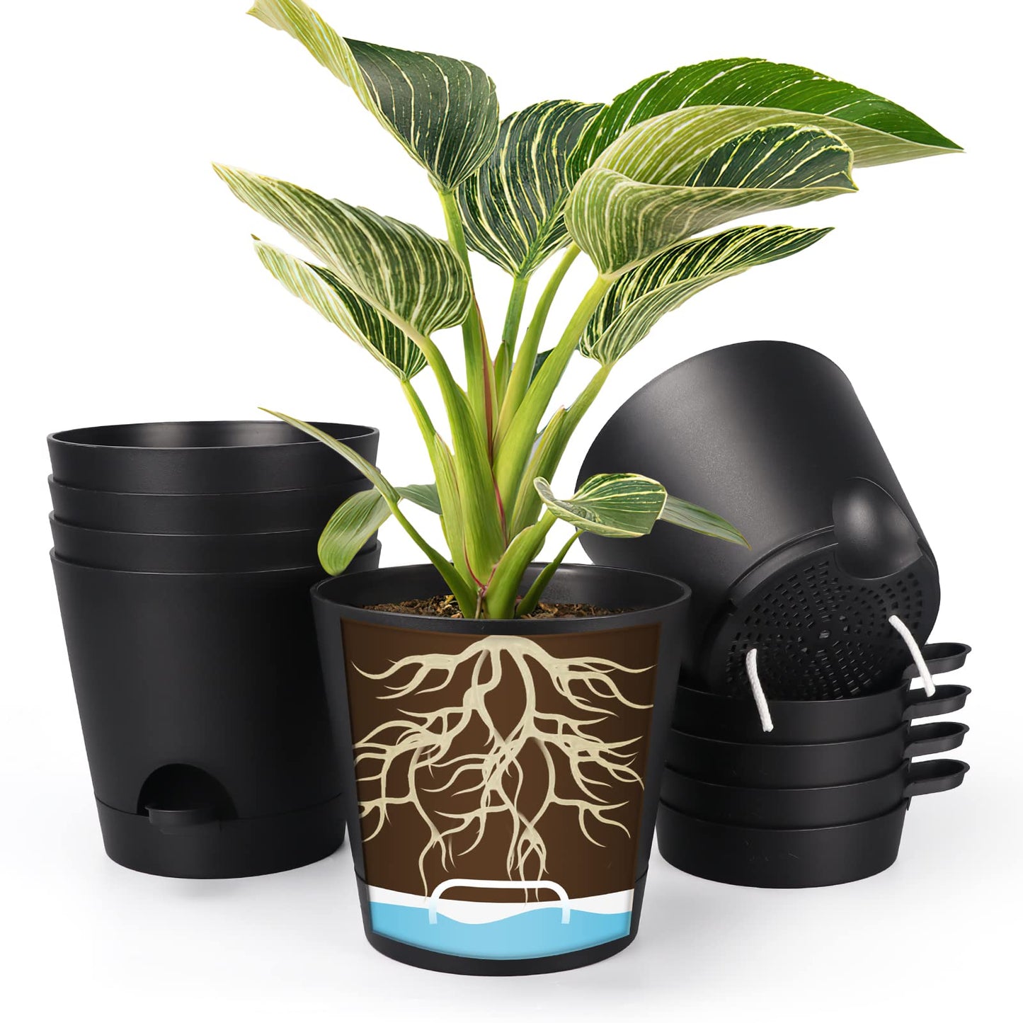 SPEPLA 8 Inch Self Watering pots for Indoor, 6 Pack Plastic Plant Pots with Drainage Holes, Black