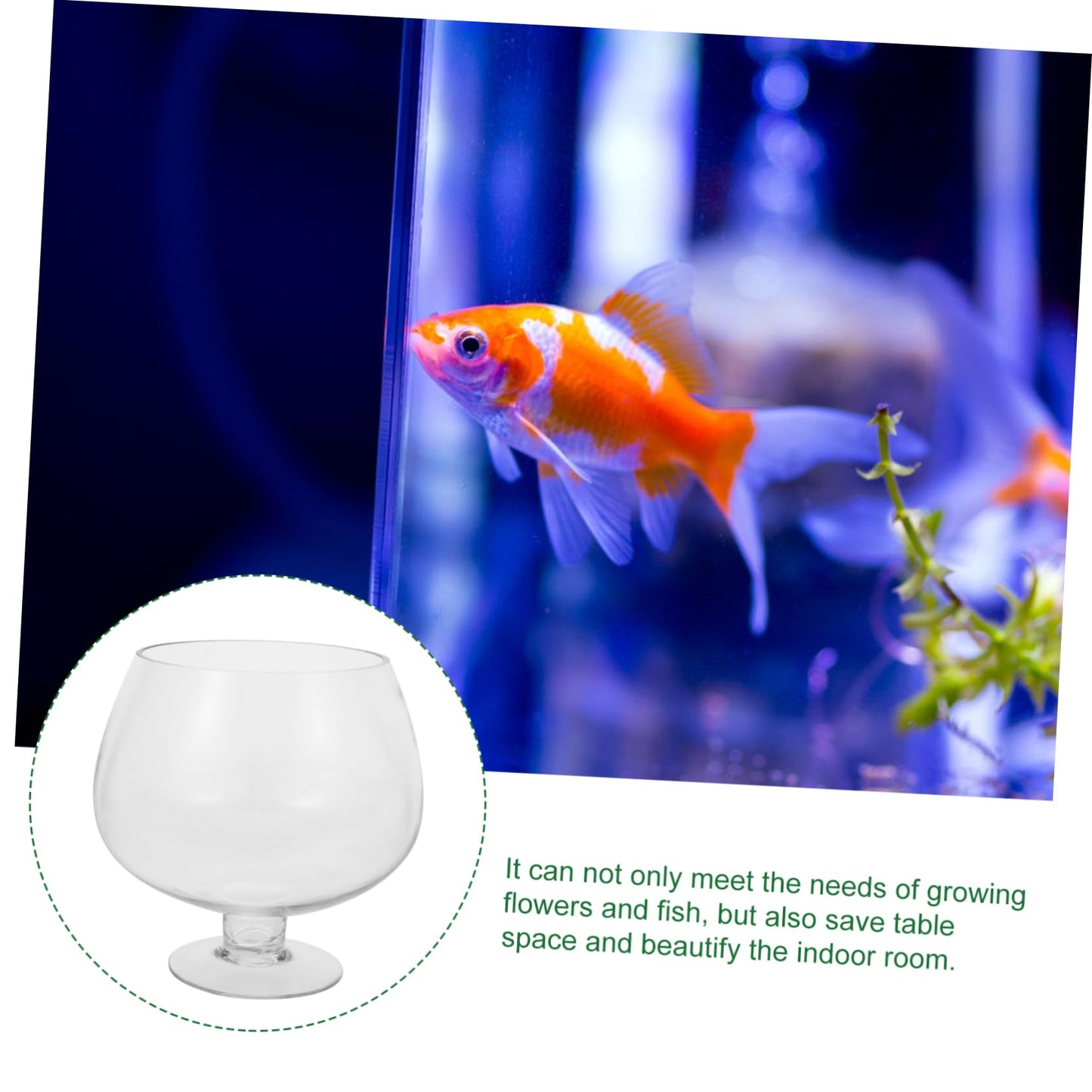 BESPORTBLE Clear Bubble Bowl, Glass Vase with Stand Fish Bowl Clear Planter Terrarium Globe Flower Vase Hydroponic Kitchen Table Centerpiece Footed Pedestal