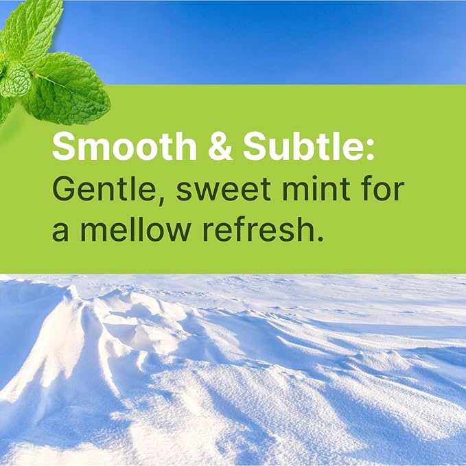 Spearmint KETO Xylitol Candy Chips (3-Pack) - SNØ 1.5oz Tin - Sugar-Free Candy With Only 2 Ingredients | Low Carbs, Diabetic-Friendly, Non-GMO, Vegan, GF & Kosher | Purest candy in the world!