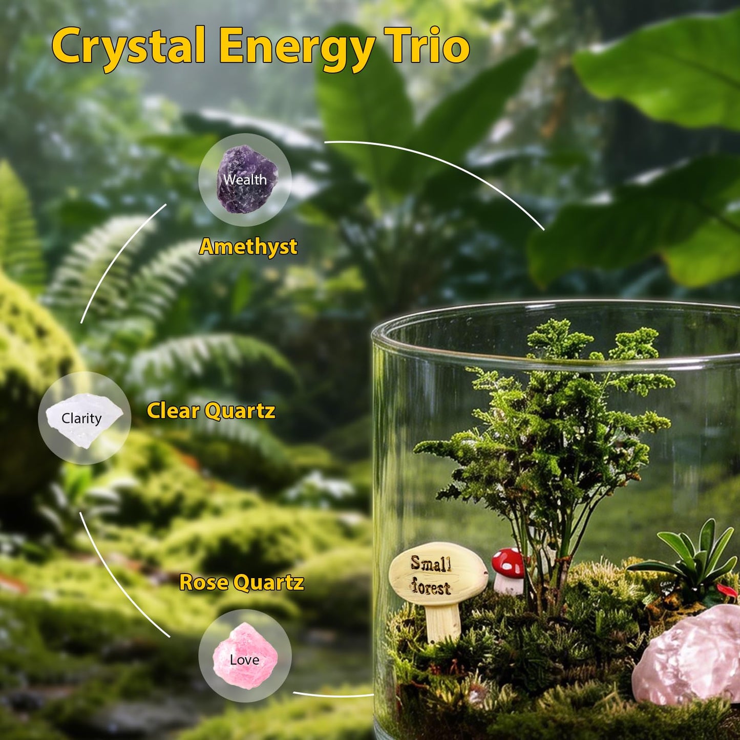 DIY Crystal Terrarium Kit - 21-Pieces All-in-One Starter Kit with Preserved Moss, Pumice, Crystals, Coconut Coir, Tools & Decor | Healing Gift for Relaxing | Plants Lovers | Home & Desk Decor