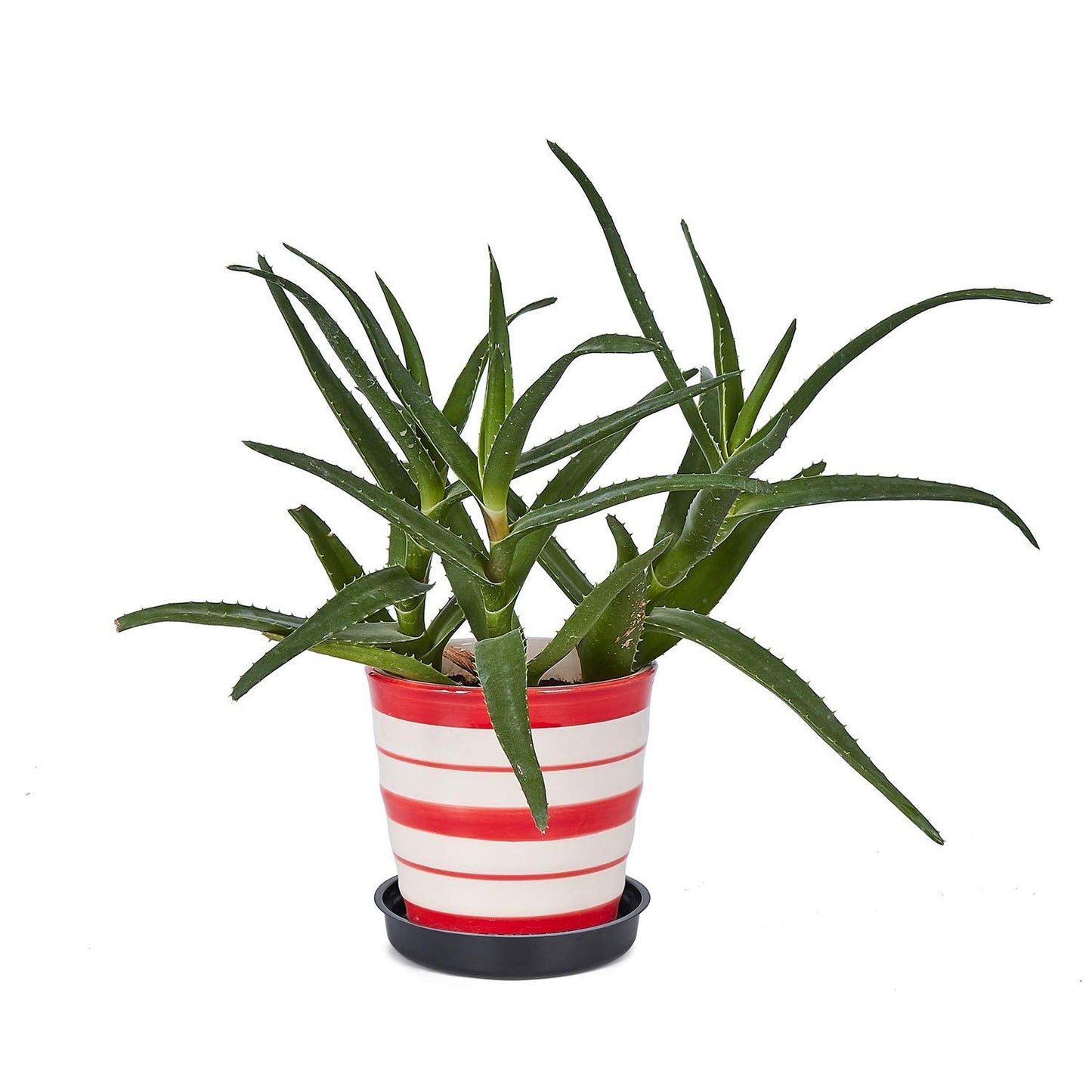 Idyllize 5 Pieces of 8 Inch Black Plastic Plant Saucer Drip Tray for Pots (8")