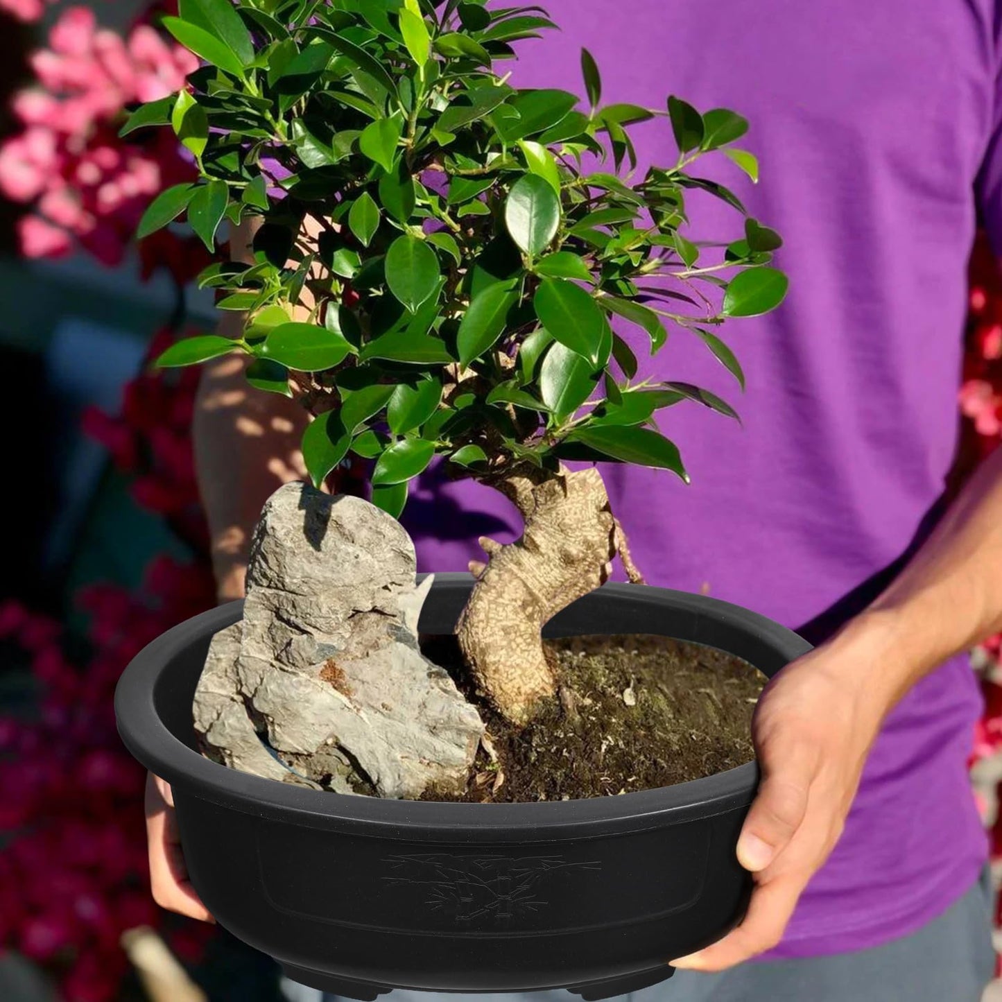 Luxshiny Large Oval Flower Pot Planter 14.96 Inch with Drainage Holes 2-Pack Plastic Bonsai Planters for Indoor Outdoor Gardening Balcony Office Home Use