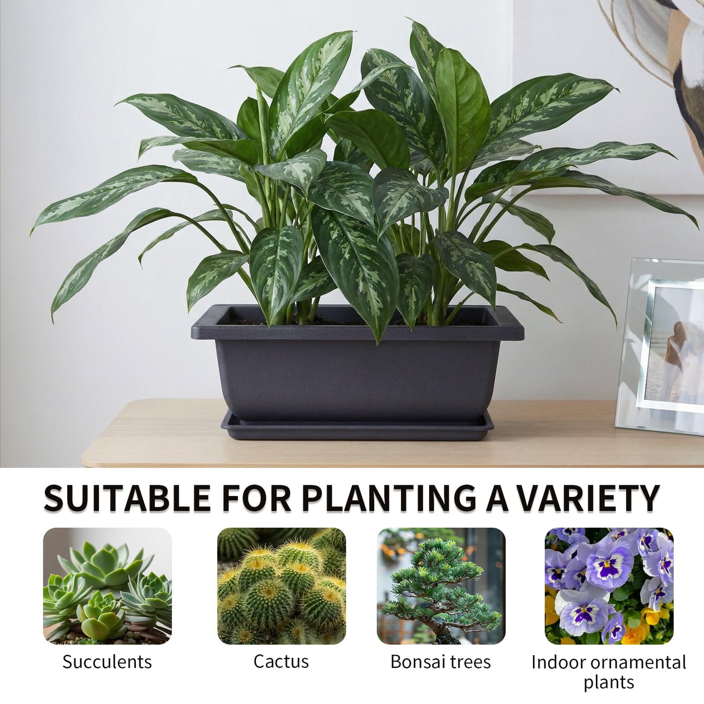 Little pot friend Bonsai Pots, Plastic Bonsai Tree Pots, Bonsai pots with Humidity Tray and Drainage, Suitable for Growing Potted Plants in Both Indoor and Outdoor Gardens (Rectangle, 3pcs-6.5")