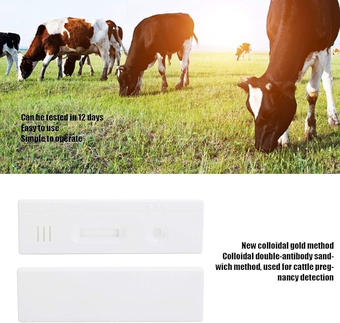 Cow Pregnancy Test Strip, Accurate Livestock Veterinary Equipment with High Accuracy Rate and Convenient to Use