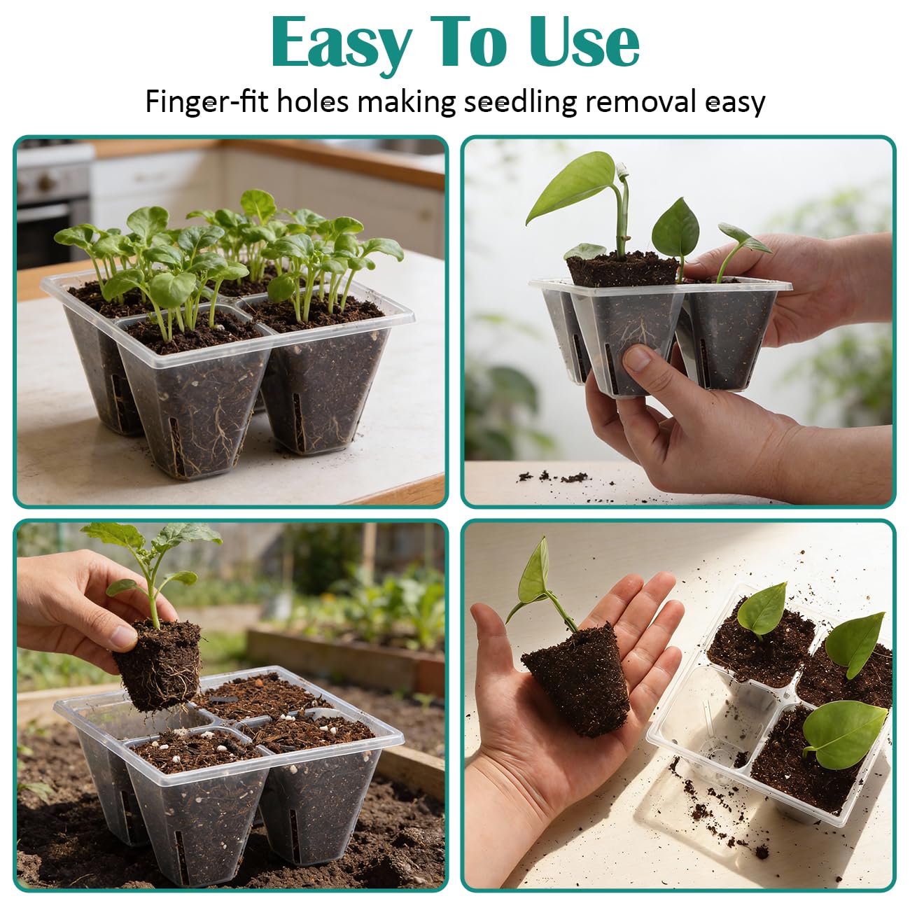 RooTrimmer 80 Pack Reusable 4-Cell Clear Seed Starter Trays - Extra Large Drainage Holes, Easy Transplant, Clear Transparent Tray for Root Observation, Seed Starting, Fits Standard 1020 Flats