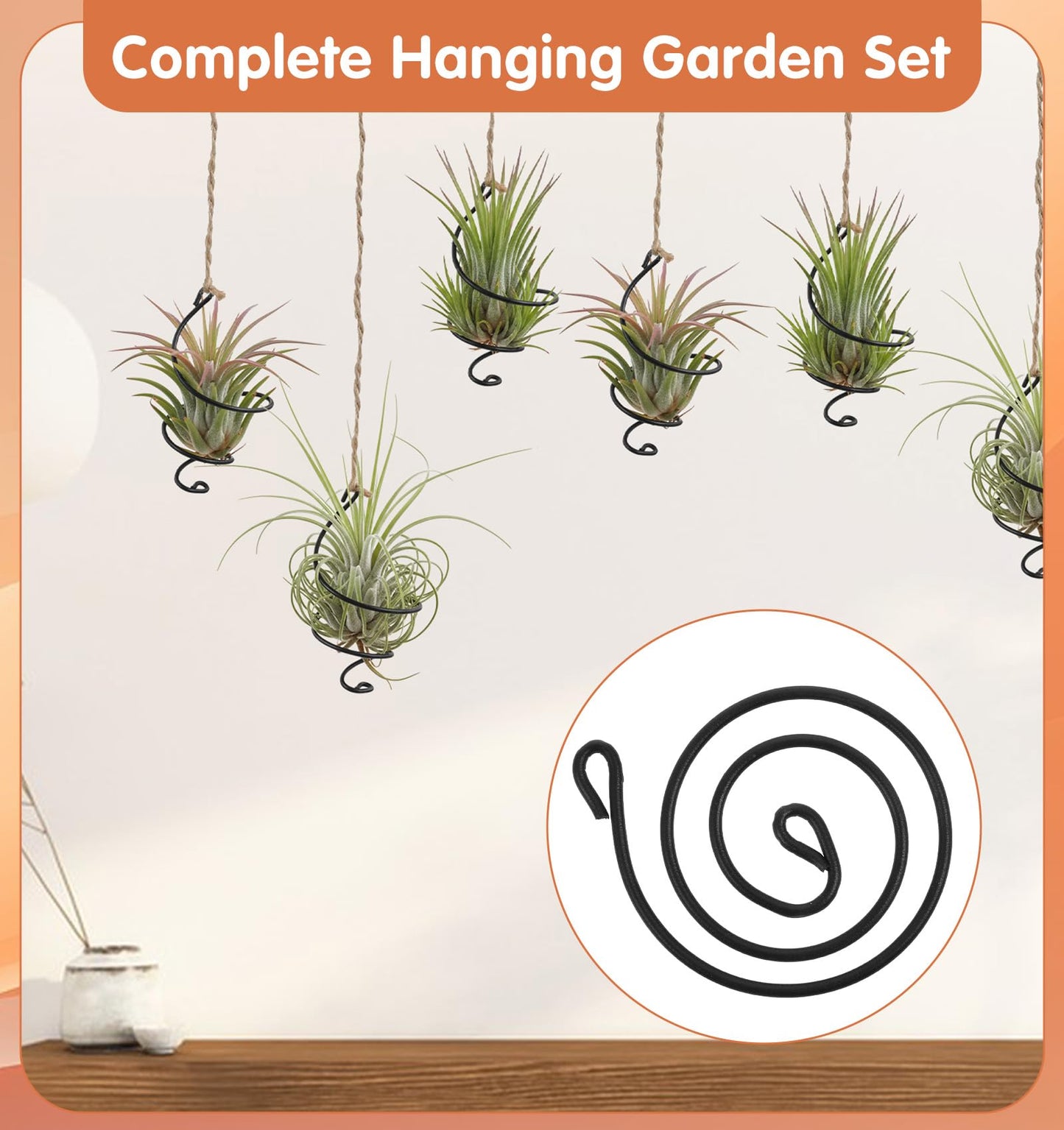ValueBargain 6Pcs Hanging Air Plant Holder, Air Plant Hanger with Jute Ropes, Soilless Tillandsia Display Stand for Home & Office Decor, Succulent Container