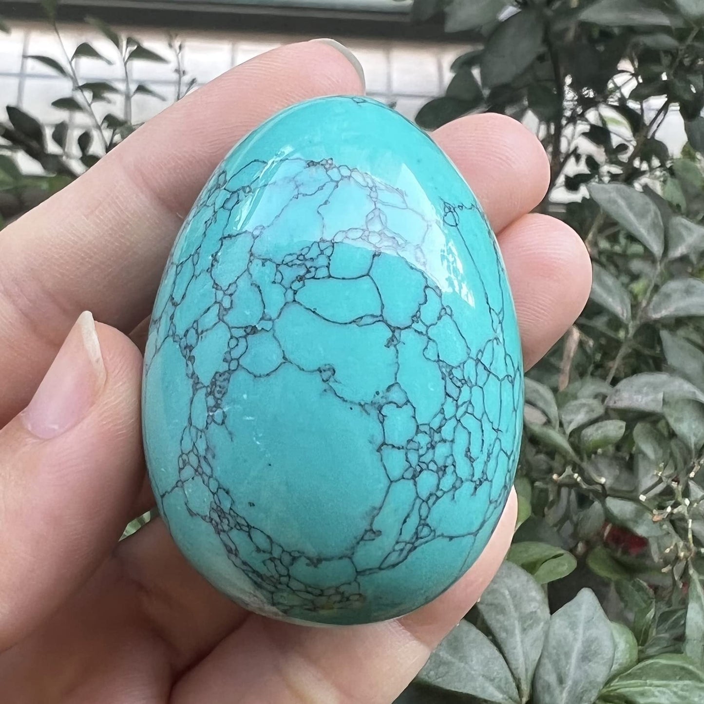 Fekuar Stone Egg Figurine, Polished Healing Crystal Easter Eggs Sphere Sculpture with Wood Stand, Green Howlite Turquoise, 1.8"