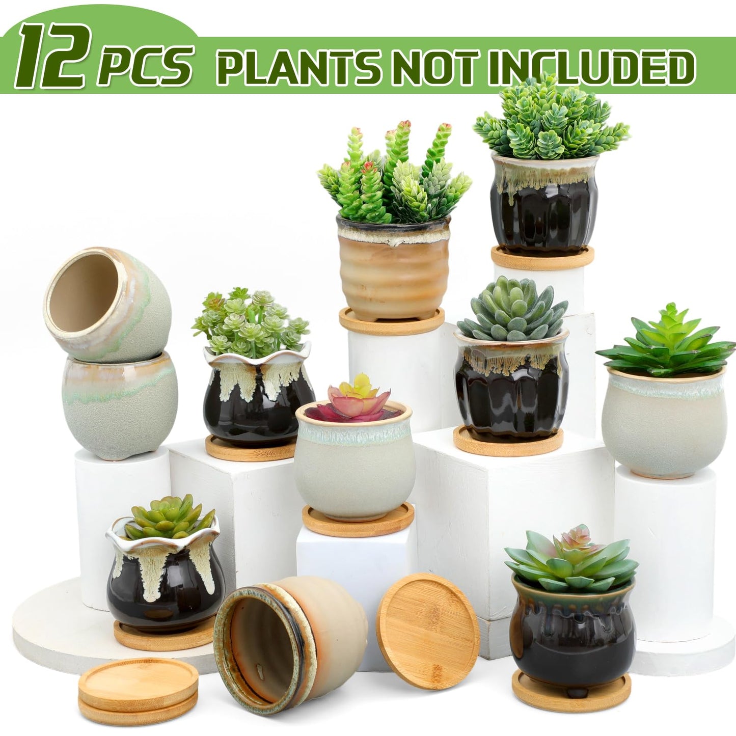 Remerry 12 Pcs Small Succulent Pots Bulk with Drainage Assorted 3.5 Inch Mini Ceramic Succulent Planters Pot with Coaster Bamboo Plant Tray Planting Pots for Home Office Garden