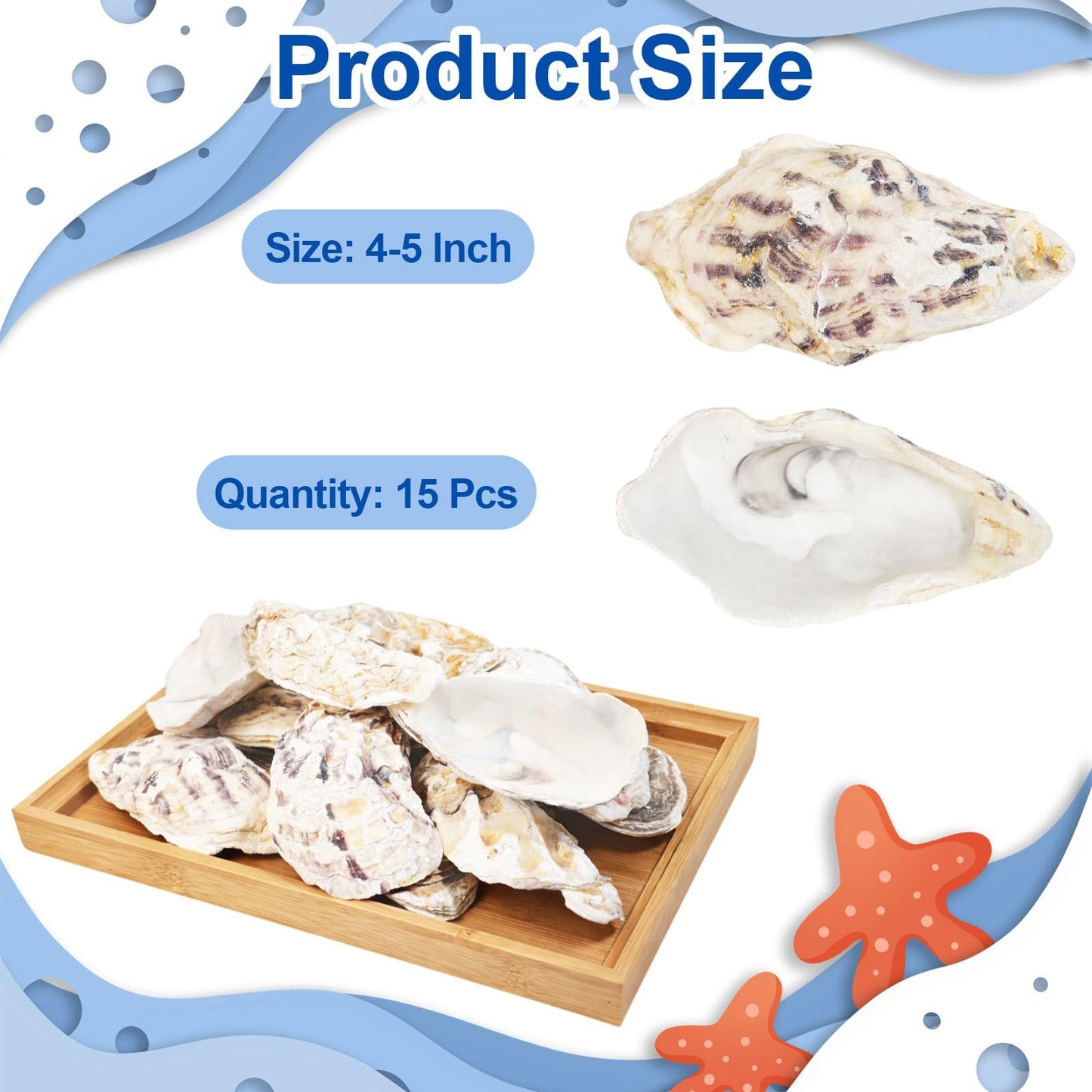 15PCS Natural Oyster Shells 4-5 in Uncarved Oyster Shells for Crafts, Hard Texture for DIY Arts Ornaments, Candle Holders, Coastal Decor & Art Projects