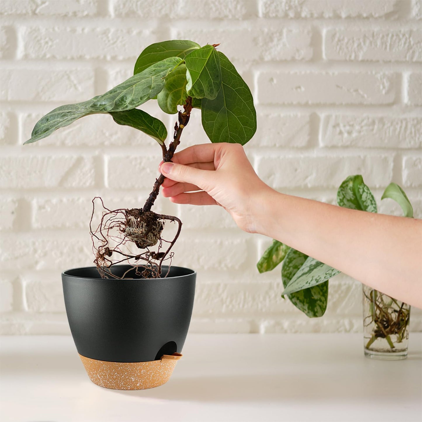 SE SUN-E Self Watering Plants Pot with Drainage Hole, Flower Plants Pots for Indoor & Outdoor, Black Plastic Self Watering Planters Succulent Pot 5pcs/Set