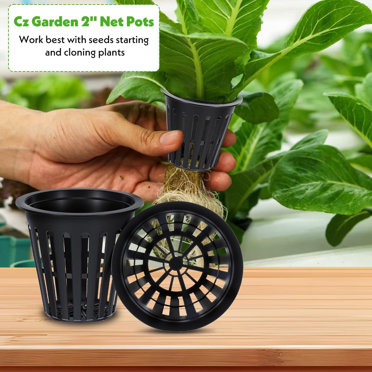 Lemecima 200PCS 2 inch Net Pots,Hydroponics Cup, Net Cups for Indoor or Outdoor Growing