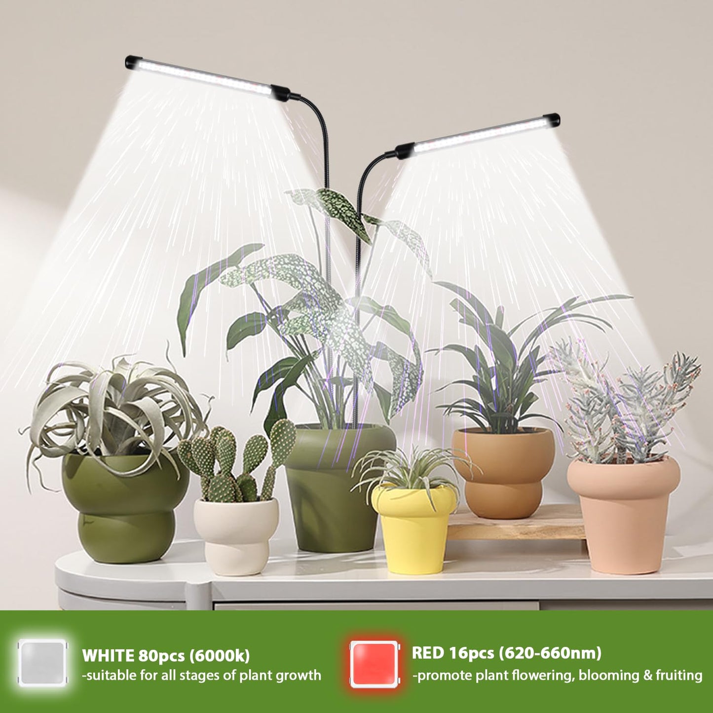 WeeLeeGoo Grow Light 2 Pack, 6000K Full Spectrum Gooseneck Growing Lamp for Indoor Bonsai Pot Succulents Micro Greens Mini Plants, Dimmable & Auto Timer 4 8 12H