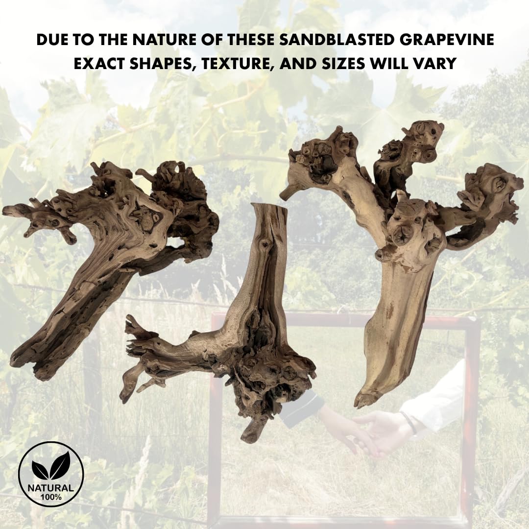 Koyal Wholesale 12" Sandblasted Grapevine Wood for Hamsters, Reptiles Terrarium, Exotic Untreated Grapewood Branch for Decoration Home Wedding DIY