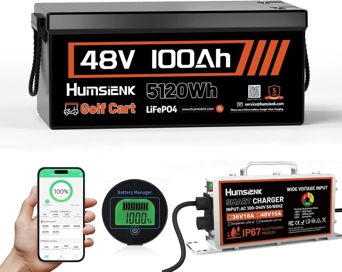 48V 100Ah Lithium Battery for Golf Cart with 15A Charger, Built-in Bluetooth 5.0 & 200A BMS,15000+ Deep Cycle LiFePO4 Battery with Low-Temp Protection for Golf Cart ﻿ Group 8D