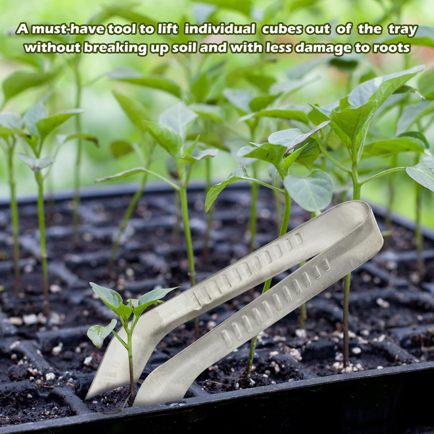 1PCS Seedling Transplant Tongs Stainless Steel Seedling Starters Remove Tongs Seedling Transplanting Tool Seedling Easy Transplanter with Anti-Slip Grasp Tips to Reduce Damage to Roots
