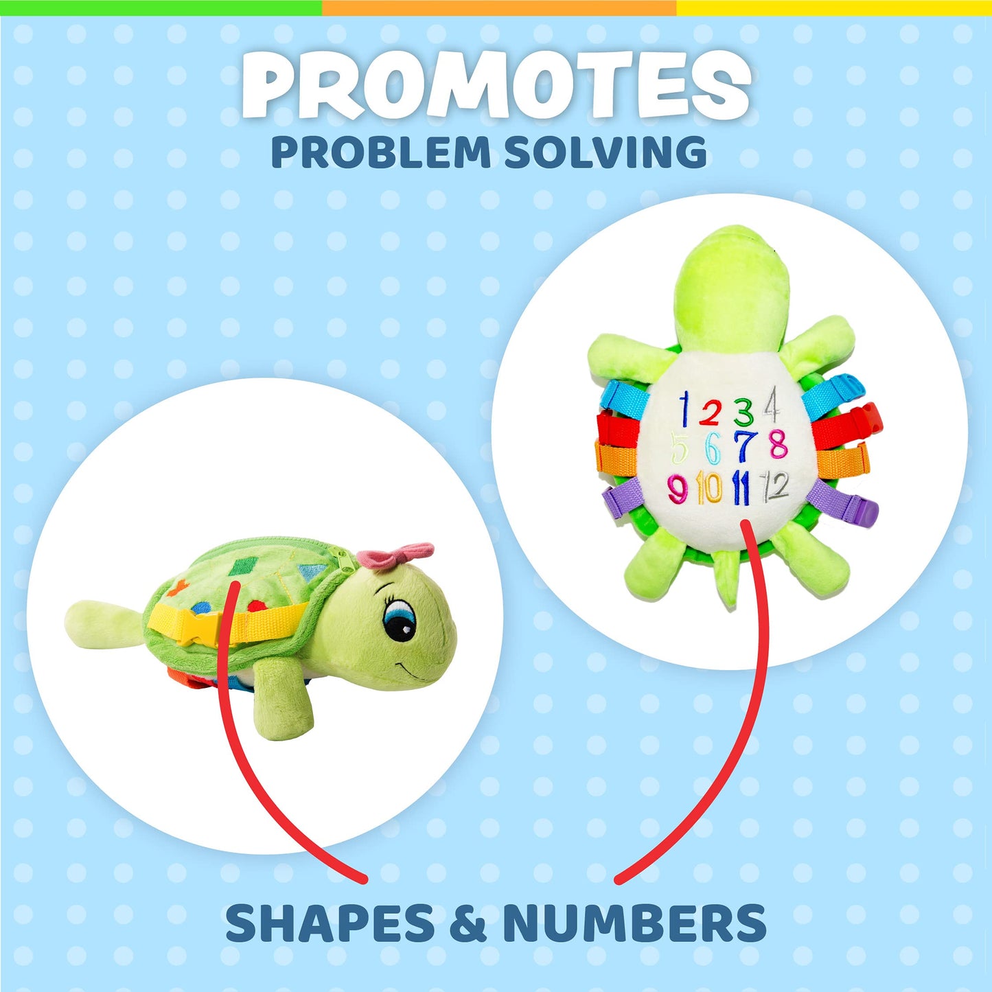 Buckle Toys - Belle Turtle - Learning Activity - Develop Motor Skills and Problem Solving - Counting and Color Recognition - Airplane Travel Essentials - Kids Stuffed Animal