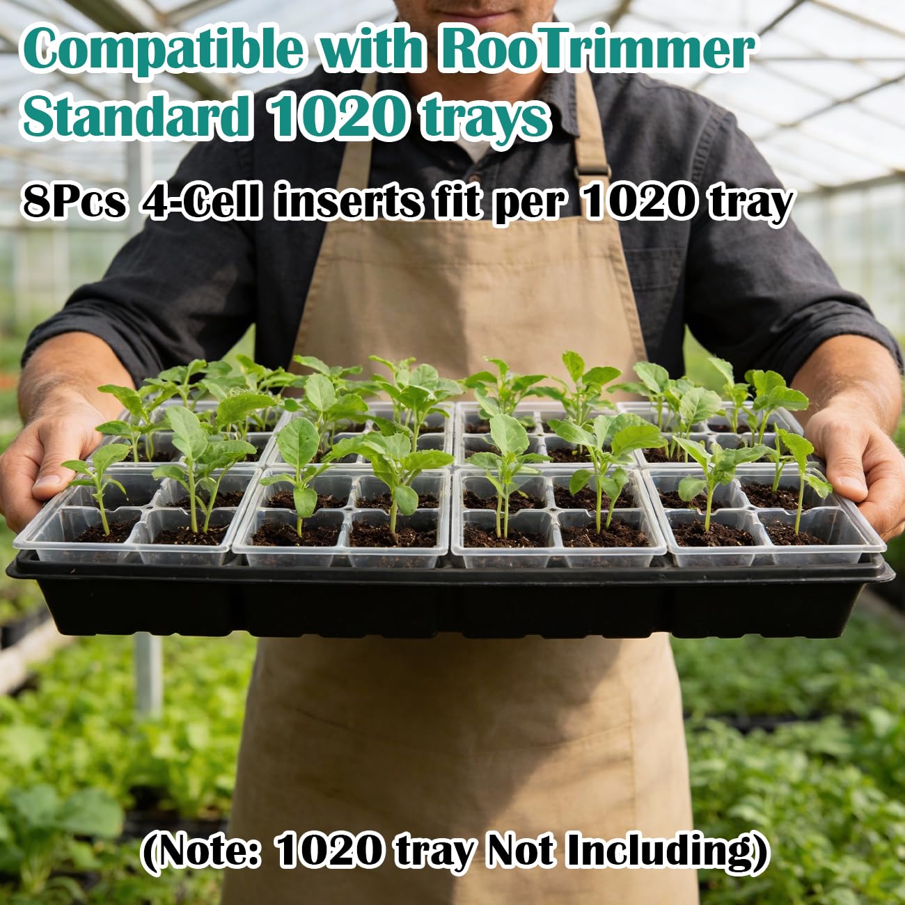 RooTrimmer 80 Pack Reusable 4-Cell Clear Seed Starter Trays - Extra Large Drainage Holes, Easy Transplant, Clear Transparent Tray for Root Observation, Seed Starting, Fits Standard 1020 Flats