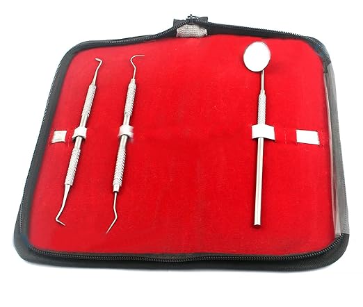 AA PRO Dental Hygiene KIT with CASE - Professional Grade Dentist Tool - Soft Steel Cleaning Set for White Teeth and Healthy Gums - Tartar Removal - Mirror and Scaler A+ Quality