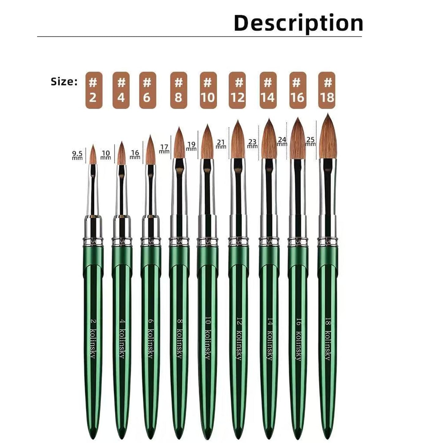 100% Kolinsky Nail Art Brushes Acrylic Nail Brushes Pure Kolinsky Hair Acrylic Crystal Chrome Green Handle with Silver Ferrule Round Shaped for Women Girls Manicure Tools Accessories-Size 12