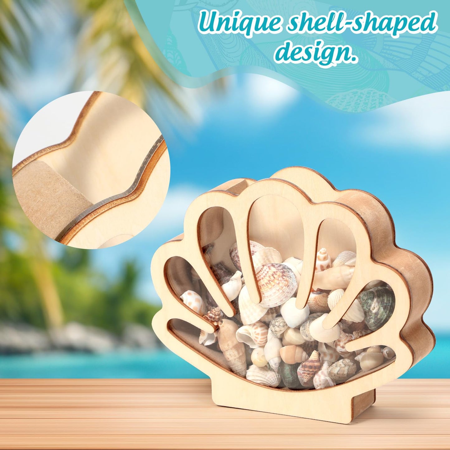 Xylolfsty Seashell Display Box Wooden Seashell Holder with Acrylic Panel Storage Box for Shells Sea Glass Small Starfish Shark Tooth Seashell Collection Home Decor Birthday Present