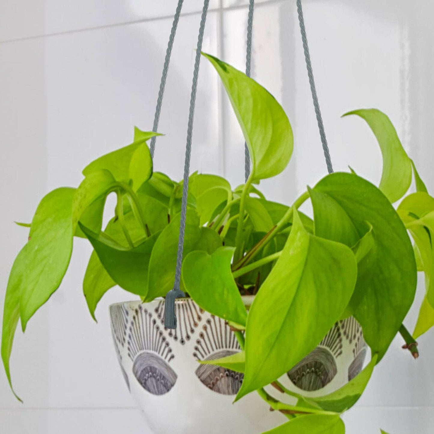 Yardwe 5Pcs Plastic Hanging Basket Hooks for Plants, 4-Prong Detachable Pot Hangers for Balcony, Porch, Garden, Indoor and Outdoor Use