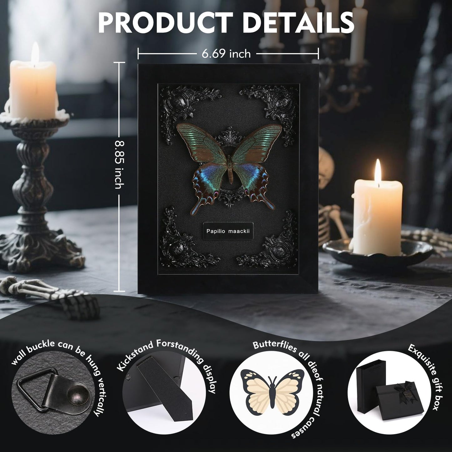 Real Framed Butterfly Taxidermy - Shadow Box, Real Framed Butterfly in a Box for Gothic Home Decor Aesthetic (B_Alpine Black Swallowtail Black Background #1)