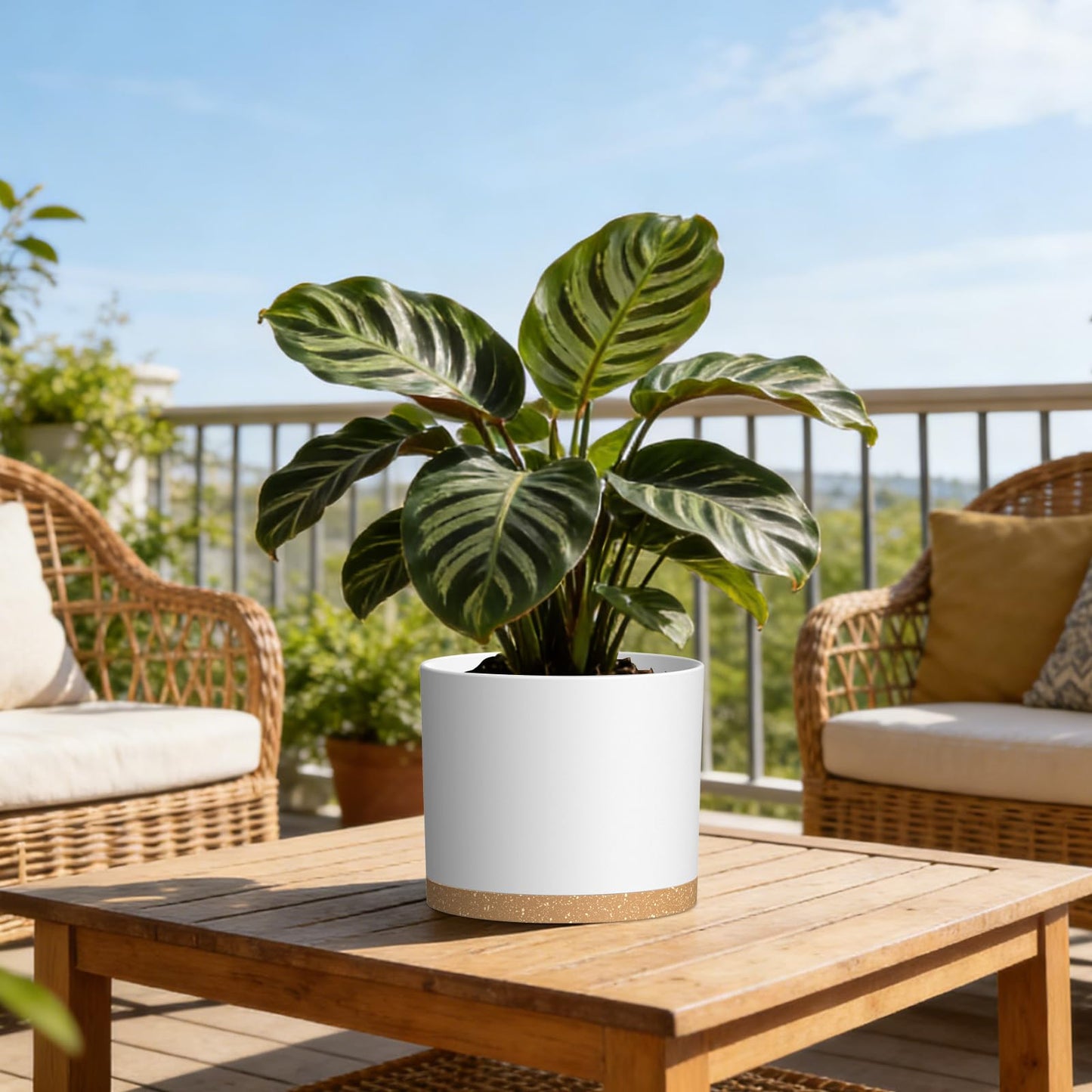KUGAZ Plant Pots, 10/9/8 Inch 3 Pack Cylindrical Flower Pots with Drainage Holes and Saucers, Plastic Planters for Outdoor Indoor Plants,White Brown