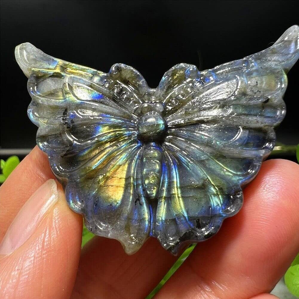 TEAMWILL 2" Natural Labradorite Carved Butterfly Skull Quartz Crystal Healing Reiki
