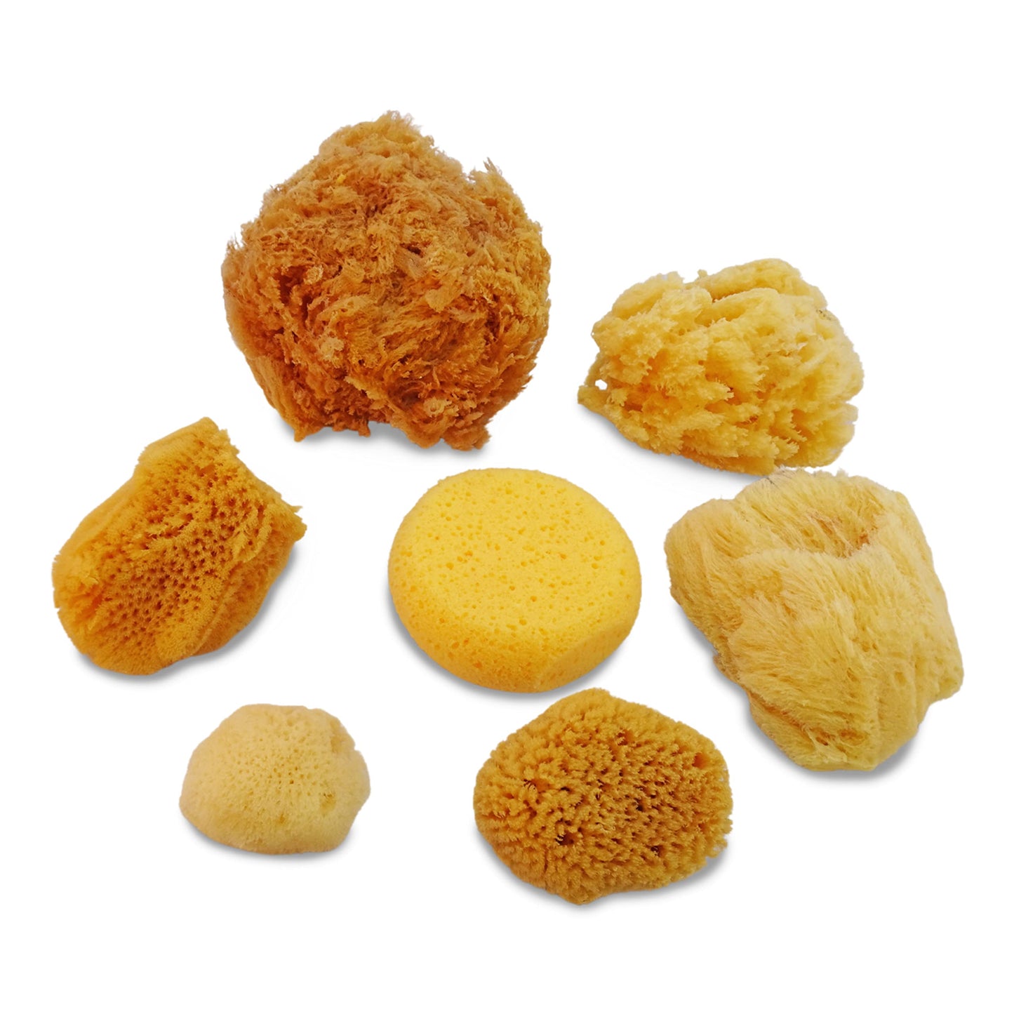 Lullingworth® Natural Sea & Synthetic Sponges - Assorted Sizes 7pc Value Pack for Crafts & Artists: Great for Painting, Acrylic Texturing, Hobbies, Art, Effects, Ceramics, Clay, Pottery