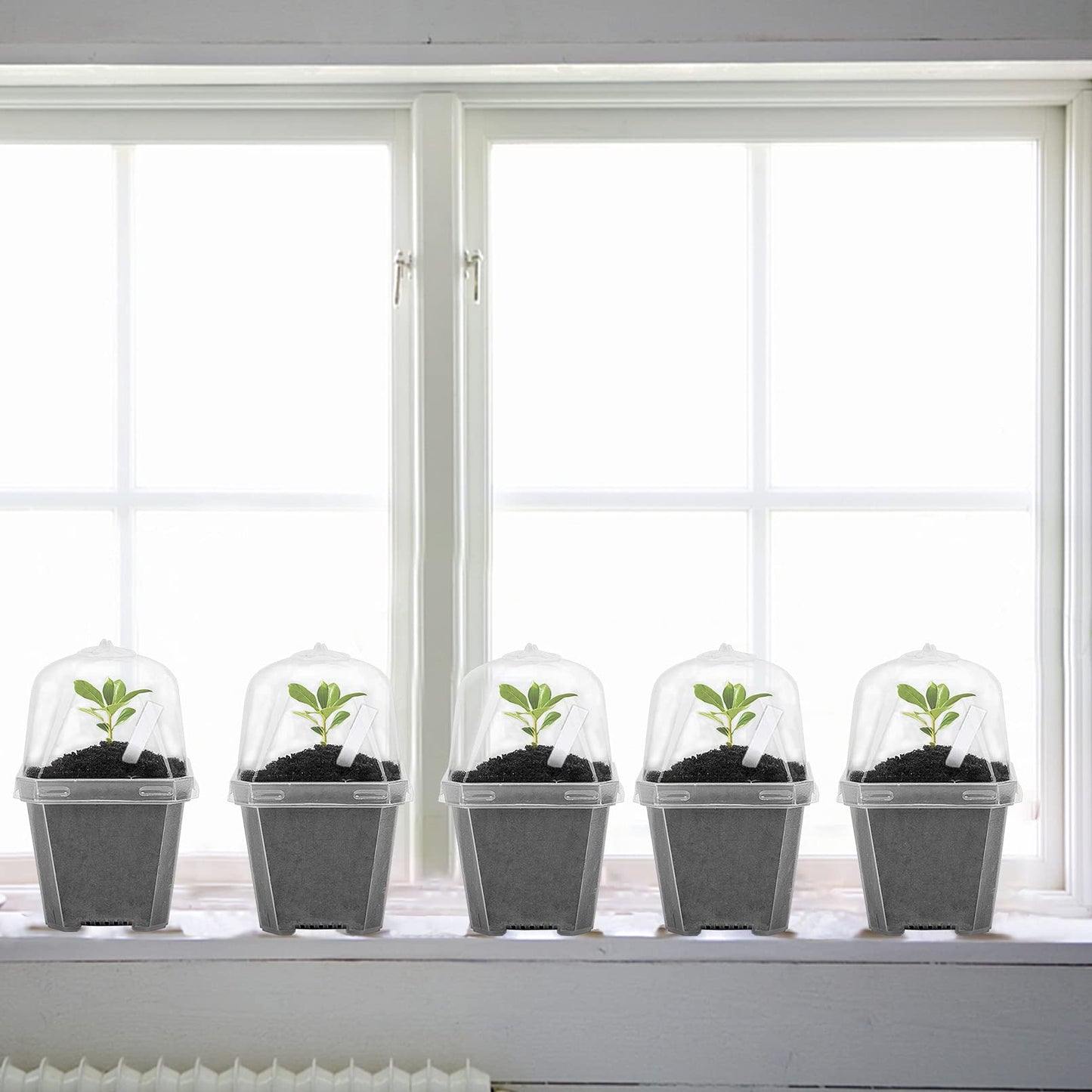 EBaokuup 30PCS Clear Plant Nursery Pots with Humidity Dome - 3" Durable Plastic Gardening Pot, Small Plant Container for Seedlings/Vegetables/Succulents/Cuttings
