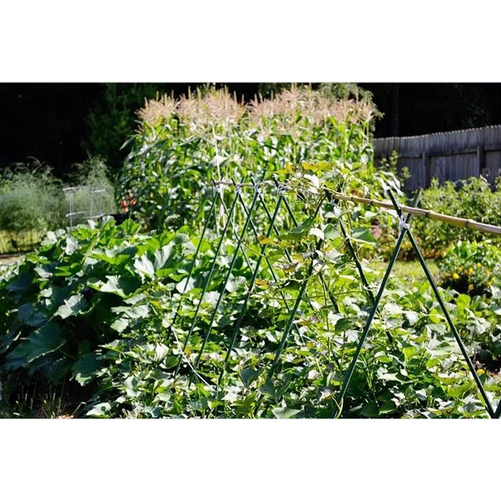 G-LEAF Garden Stakes 5 ft Plastic Coated Steel Tube Sturdy Metal Plant Sticks for Tomato,Cucumber,Bean,Tree,Pack of 25