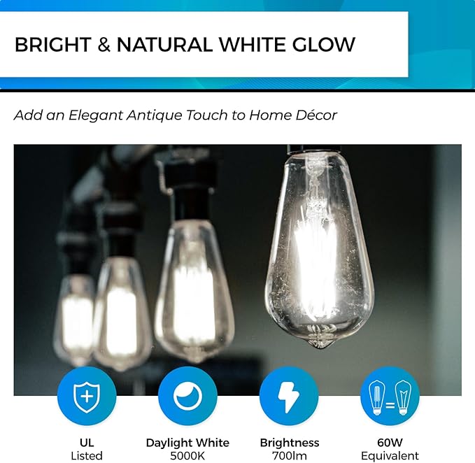 Hizashi LED Edison Bulbs, 6W, Equivalent 60W, Dimmable E26 LED Bulb, Daylight 5000K, 90+ CRI 700 Lumens, ST19 Vintage Light Bulbs, Clear Glass, Pack of 6