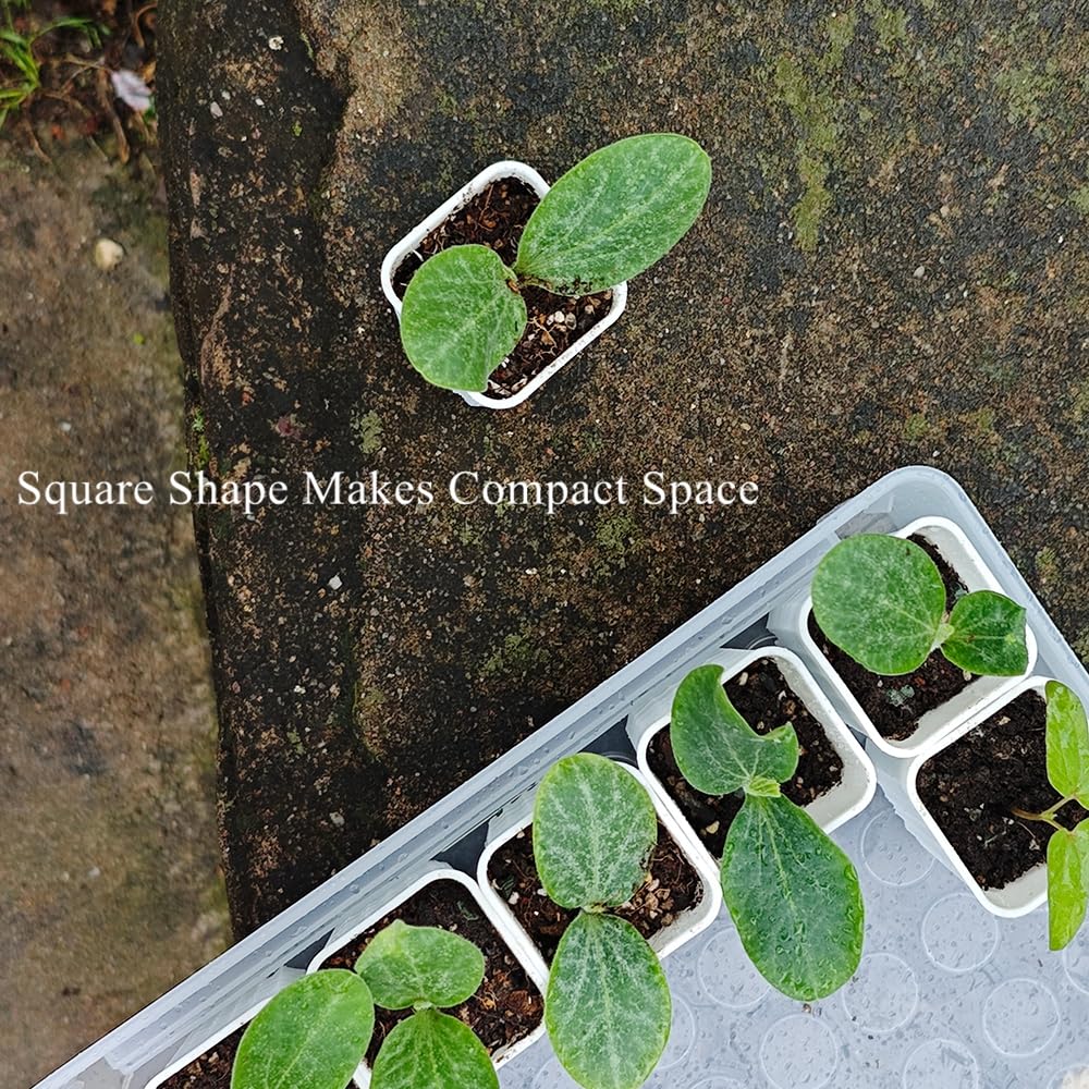 BangQiao 180 Pack 1.95 Inch Tiny White Plastic Square Nursery and Seedling Pot, Mini Deep Transplant Seed Starter Planter with Drain Hole for Germination, Herb, Succulent