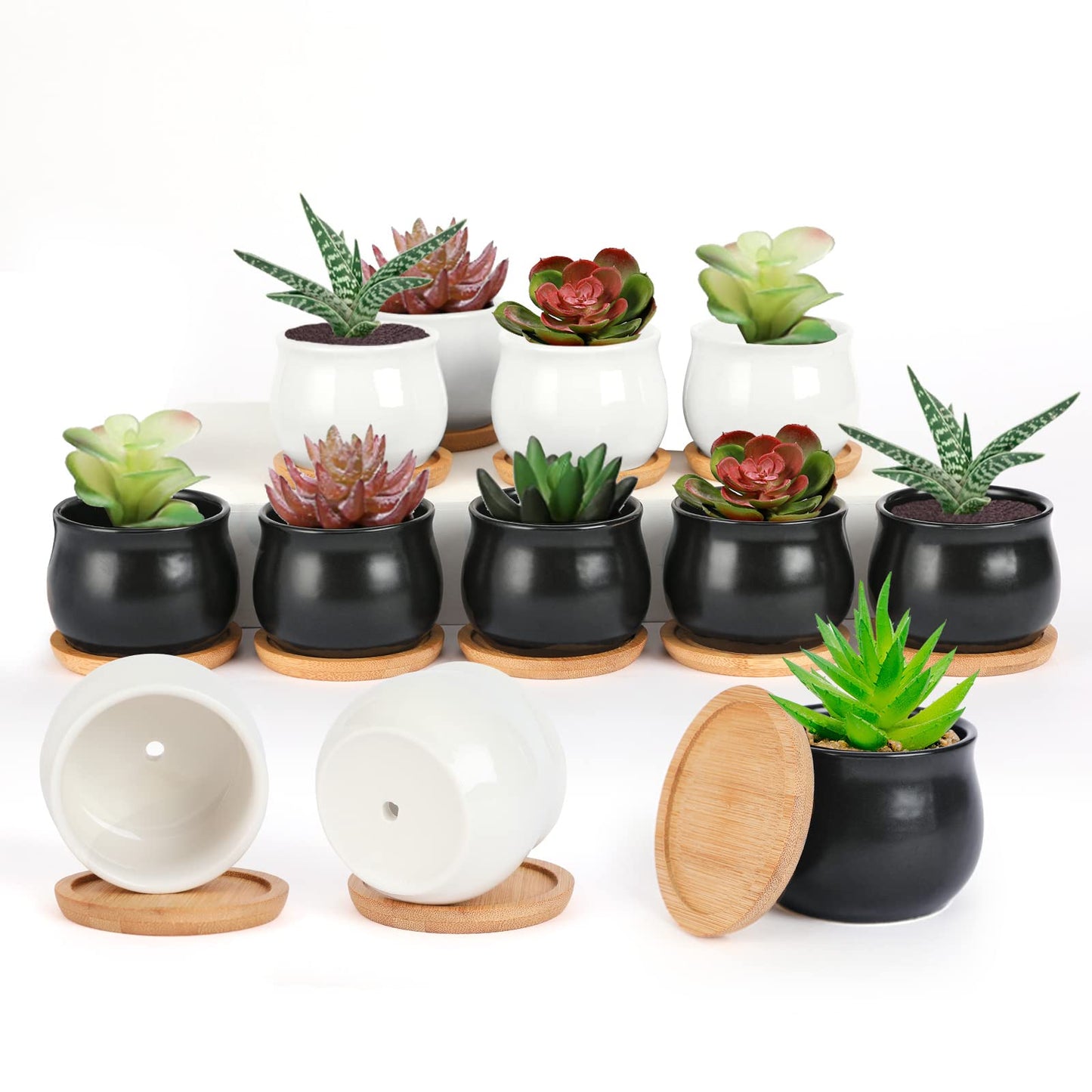 SHECIPIN 12 Pack Succulent Plant Pot, Mini 2.6 inch Ceramic Flower Planter Pot with Bamboo Tray, Small Pots for Plants, Plants Not Included （White, Black）