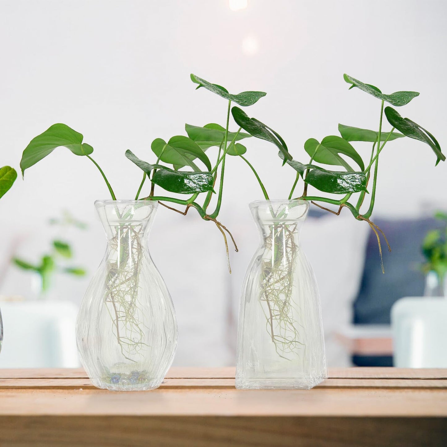 ORFOFE 4pcs Hydroponic Glass Flower Vases Small Decorative Terrarium Bottles for Home Desk Office Plant Propagation