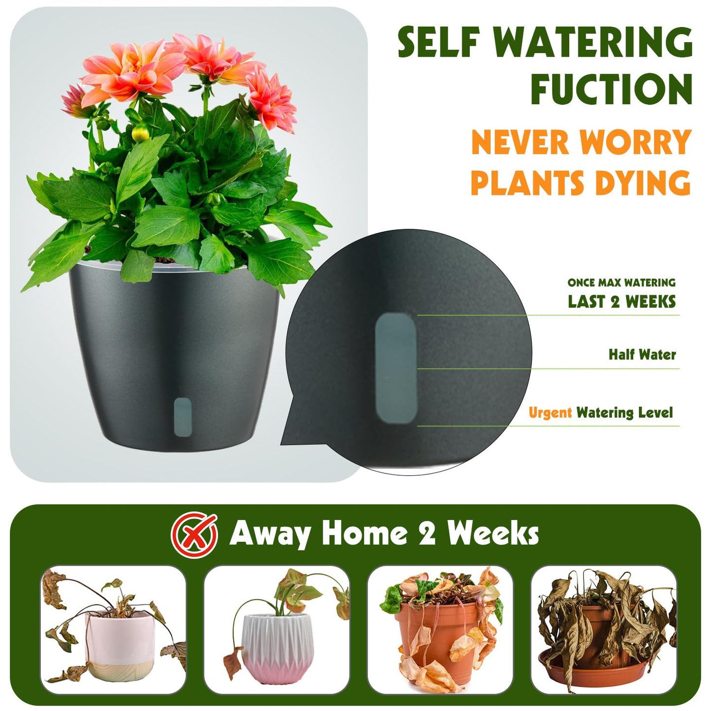 KvyusFlourish Self Watering Pots for Indoor Plants, 6-Pack 6.7'' Self Watering Planter with Drainage Holes, Small African Violet Pots with Water Indicator, Clear Wick Orchid Pot, Grey Gold